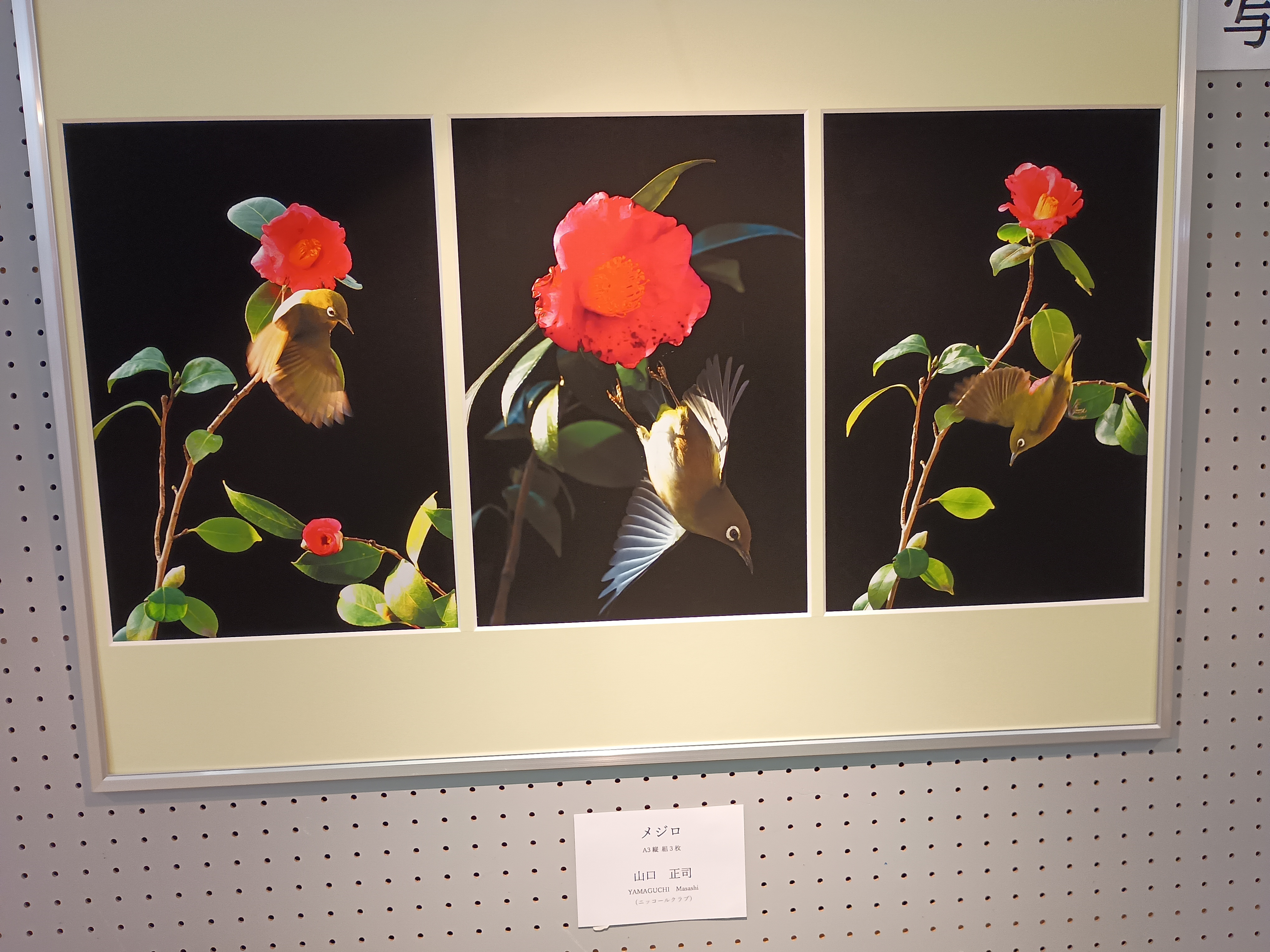 画像を挿入してください